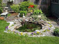Водный садик – это небольшой искусственный или природный водоем, окруженный цветами, с фонтаном, водопадом или без